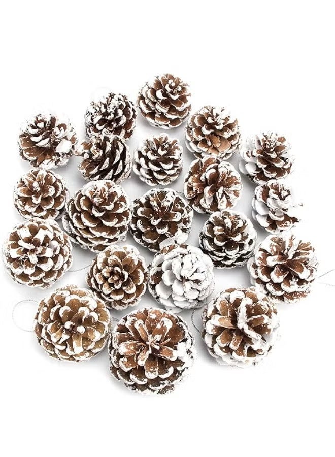 20 pieces - Large Pine Cones with String - Image 1
