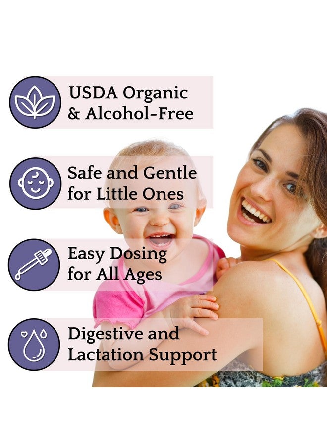 Herb Lore Organic Fennel Tincture - Digestive System Support & Lactation Supplement for Breastfeeding (4 fl oz) - Image 2