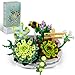 ZIYOSTAR Mini Bricks Succulent Plant Building Kit389PCS DIY Simulating Plant Ecology Collection Building ToyBouquet Set Gifts for Adults ChildrenNot Compatible with Lego Set - Image 3