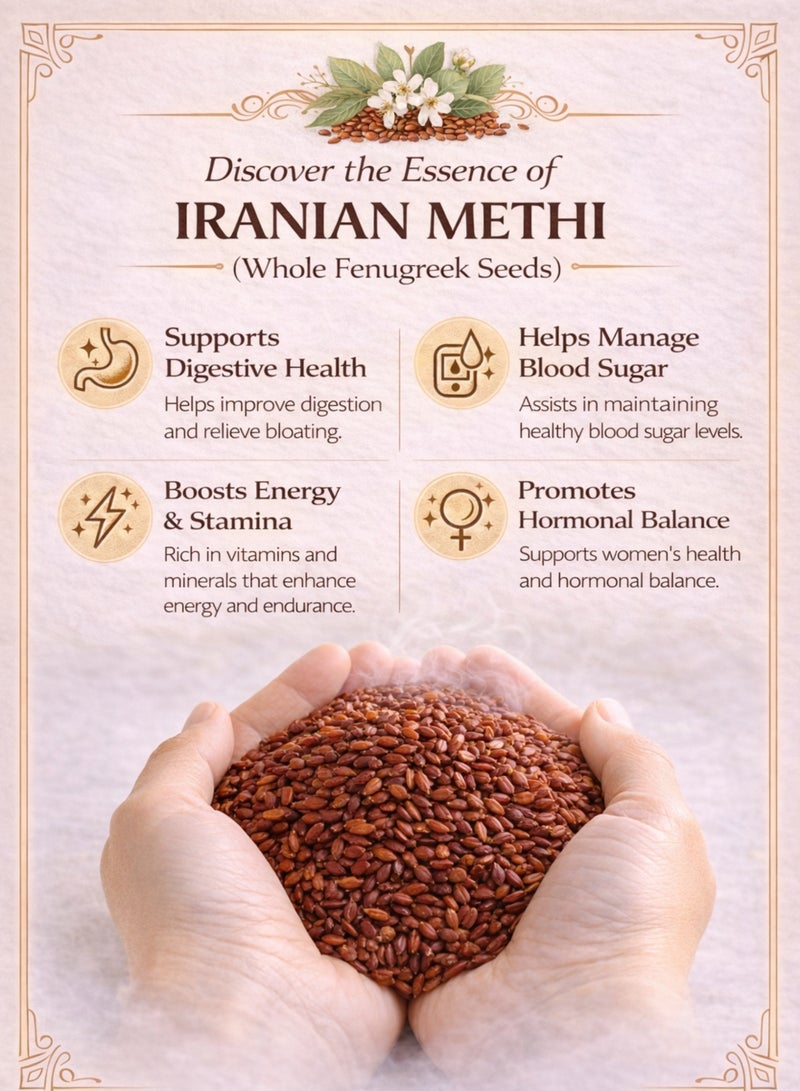 زهر بذور الحلبة الإيرانية (حبّة الحلبة الإيرانية) | تريغونيلا فوينوم-غريكوم - بذور طبيعية كاملة عالية الجودة | نقية 100% للاستخدام في البستنة والزراعة وعلم النبات والأعشاب. - Image 4