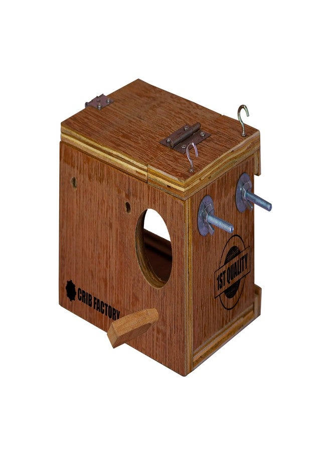 CRIB FACTORY CRIBFACTORY | WOOODEN BREEDING Box for Finches | ONE Side Transparent | 7x5x5 INCH - Image 4