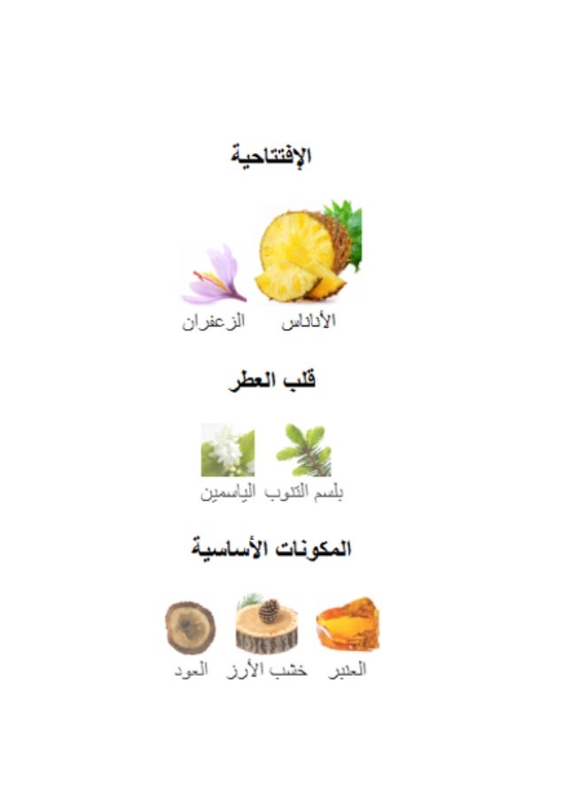 Lattafa Qaed Al Fursan EDP Unisex 90ml - Image 5