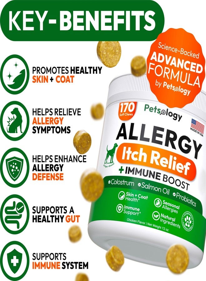 Petsology Dog Allergy Chews - Made in USA - Image 2
