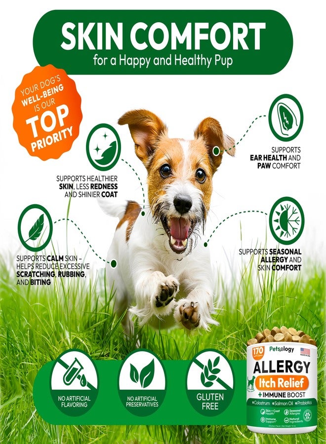 Petsology Dog Allergy Chews - Made in USA - Image 4
