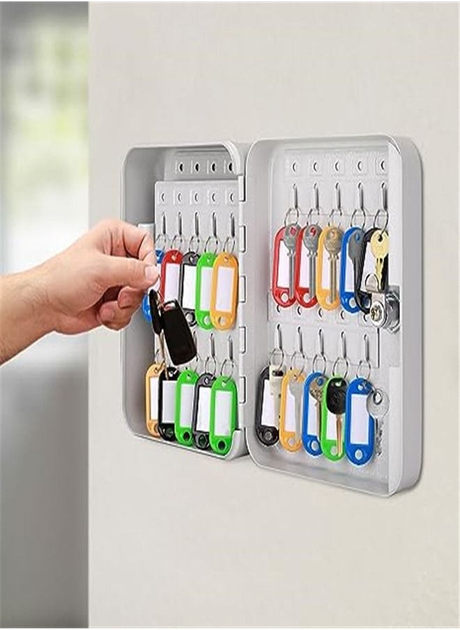 Goolsky - Goolsky Key Cabinet Key Lock Box Wall Mount with 40 Key Holder Organizer Locker Case, Colored Key Tags & Hooks Wall Mounted Lock Box for Keys Storage, Homes, Property, Hotels, Business (Gray) - Image 1