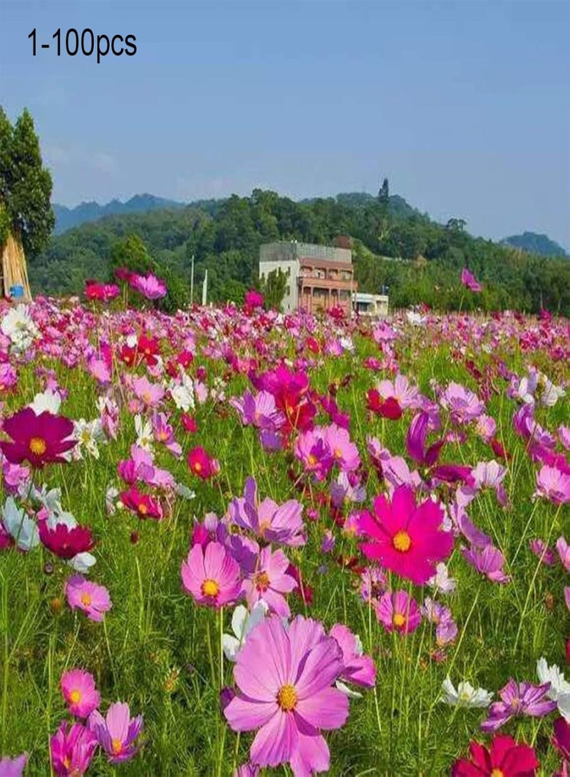 جي جوت مجموعة نباتات زينة للحديقة - بذور زهور مختلطة من نبات القطيفة الكوريوبسيس - 10 عبوات - Image 2