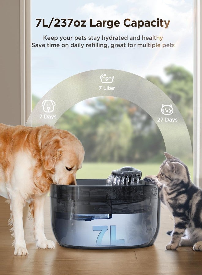 FEELNEEDY 7L/1.8Gal Dog Water Fountain for Large Dog, FEELNEEDY Dog Water Bowl Dispenser Pet Water Fountain, Water Dispenser for Dogs with Ultra Quiet Pump for Multiple Cats, Dogs, Pets (FN-W05, Blue) - Image 2