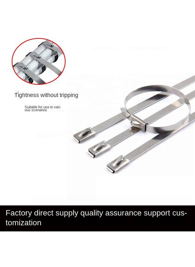 Bluejw 304 Stainless Steel Tie Metal Cable Tie With Wire And Cable Marine Self-locking Tie 4.6/7.9/10/12/16  - Image 3