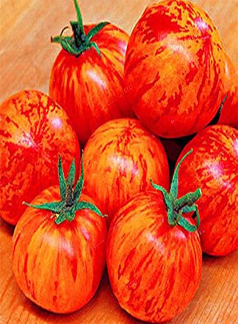 GGOOT seeds Fresh Tomato Vegetable Seeds for Planting 100 Pcs Orange
