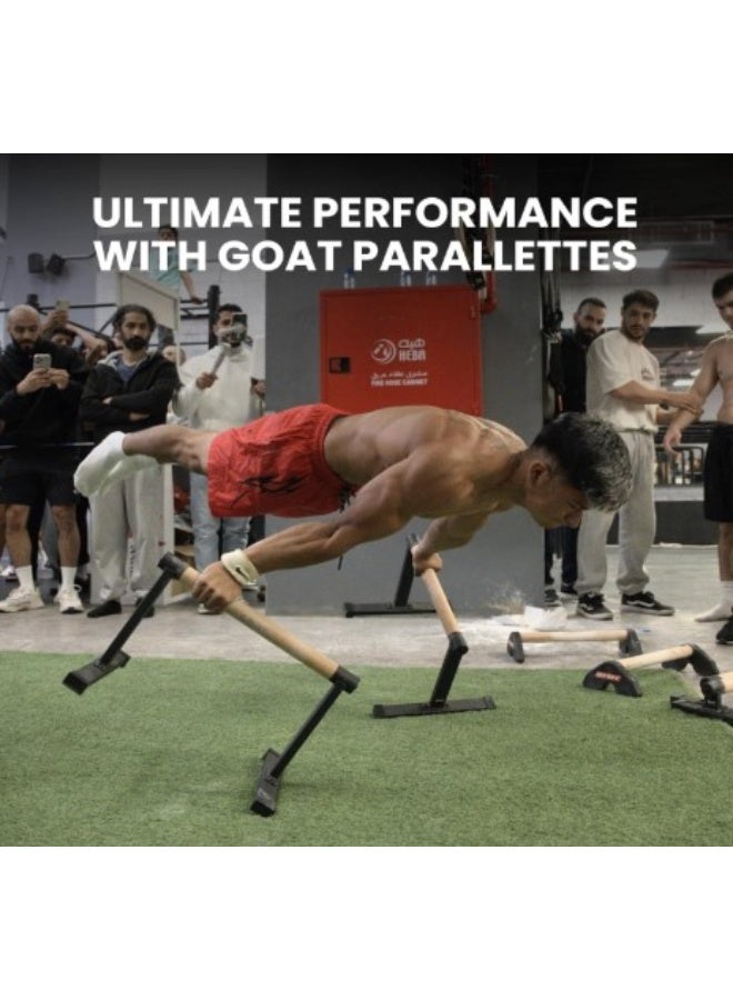 جوت  قضبان باراليتس MAX من G.O.A.T - قضبان متوازية من سبيكة الفولاذ شديدة التحمل بمقابض خشبية - ارتفاع 38 سم لتمارين الكاليسثنكس والضغط ووضعية L - معدات تدريب القوة للصالة الرياضية المنزلية - Image 2