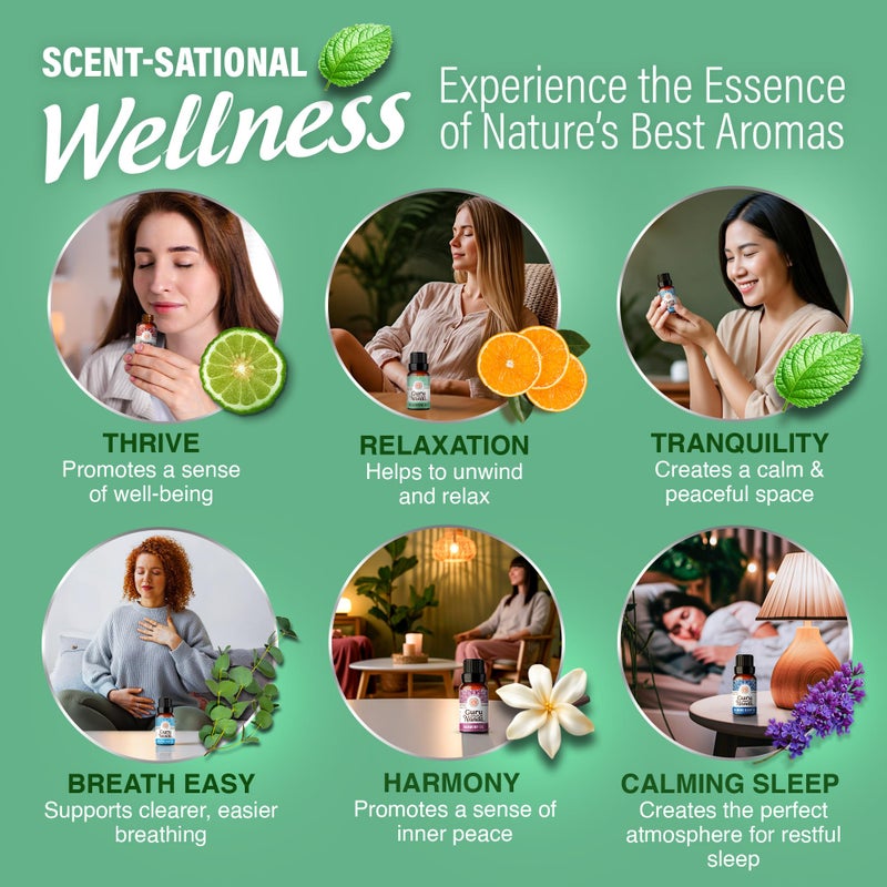 GuruNanda Essential Oil Blends (Set of 6) - Natural Essential Oil Set, Aromatherapy Oil Blends for Diffusers - Breathe Easy, Tranquility, Harmony, Calming Sleep, Relaxation & Thrive - Image 5