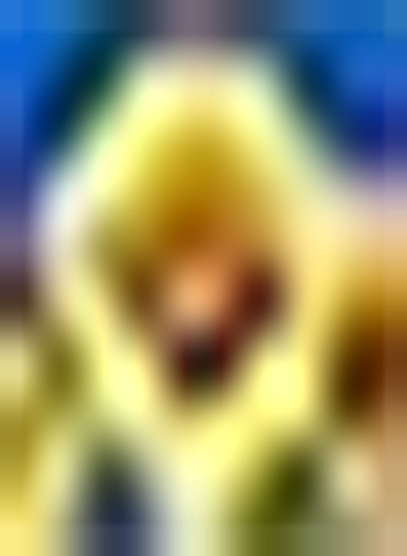 GGOOT 100pcs Sunflower seeds Perennial for DIY Home Garden Planting in Pieces Form Landscape Beautiful Flowers Light up Your Garden Art Decoration - Image 1