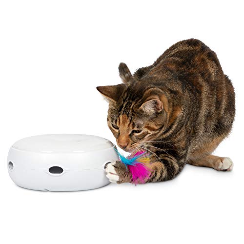 PetFusion Ambush Interactive Cat Toys for IndoorOutdoor Activity New Improved Cat Feather Toys Replacement Feathers Available - Image 1