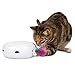PetFusion Ambush Interactive Cat Toys for IndoorOutdoor Activity New Improved Cat Feather Toys Replacement Feathers Available - Image 3