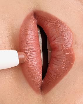 PROJECT LIP FILL LIP LINER SHADE NUDIE - Image 3