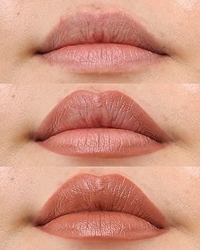 PROJECT LIP FILL LIP LINER SHADE NUDIE - Image 4