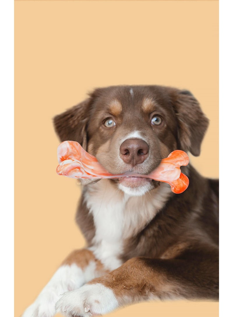 general Dog Chew Toys for Aggressive Chewers – Heavy Duty Chew Toy for Large Breed Dogs, Portable Licking Bone for Puppies, Promotes Dental Health & Satisfies Strong Chewers - Image 3