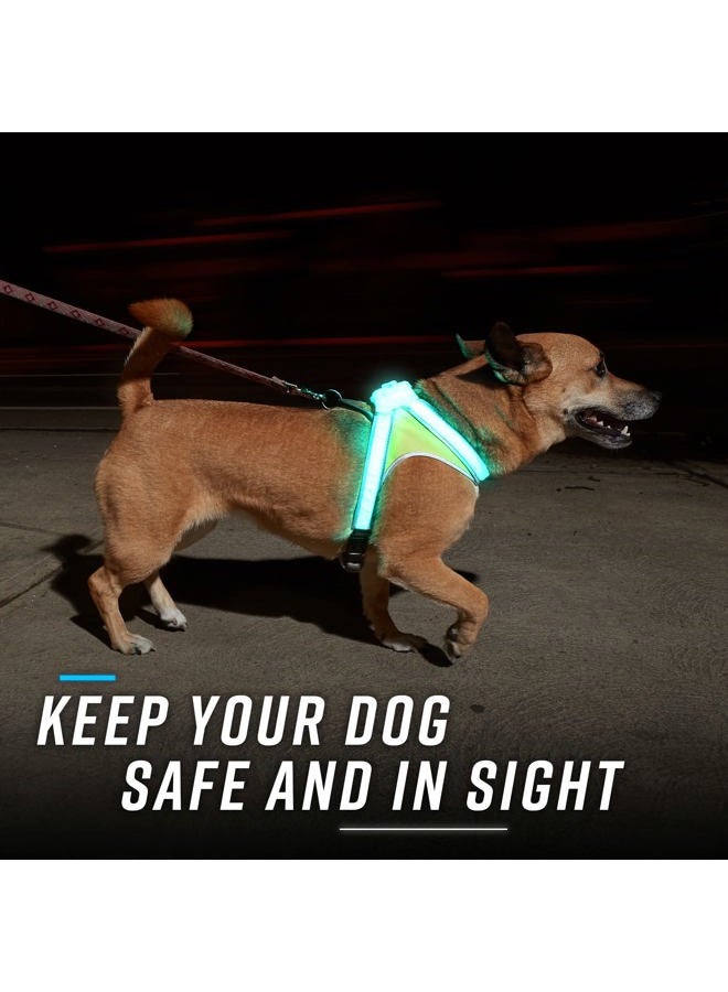 Noxgear LightHound - Multicolor LED Illuminated, Reflective Dog Harness (Medium) - Image 3