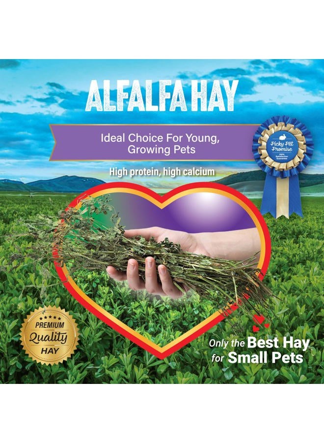 Small Pet Select Alfalfa Hay Pet Food, 10 LB - Image 5