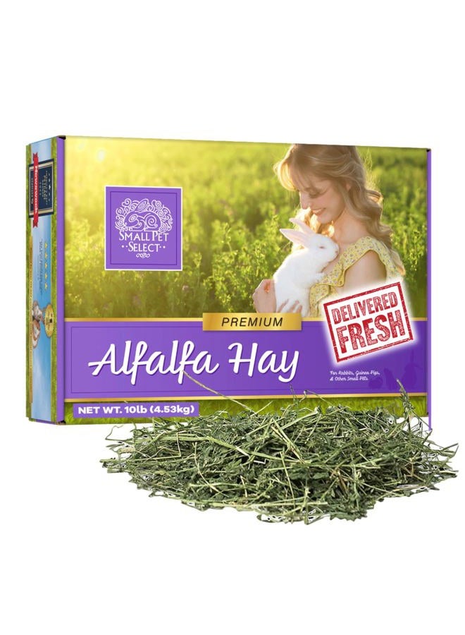 Small Pet Select Alfalfa Hay Pet Food, 10 LB - Image 1