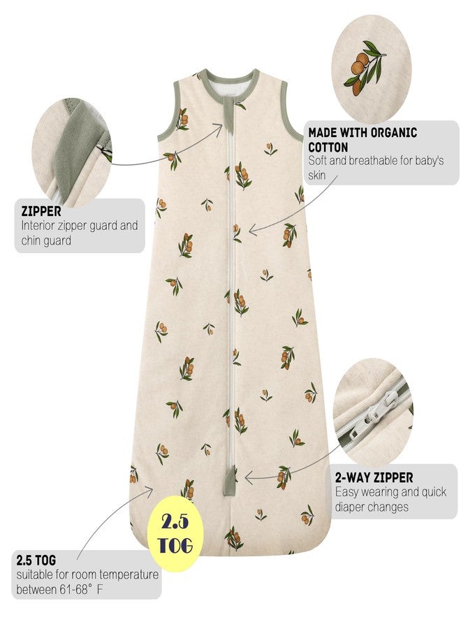 Owlivia Baby Sleep Sack Organic Cotton Sleeping Bag with- 2.5 TOG Sleeping Bag with 2-Way Zipper, Boys Girls Swaddle Transition Sleep Sack(2.5 TOG Olive Branch, 3-12 Months) - Image 5