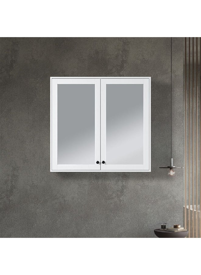 DANUBE HOME Milano Plus Miro LED Mirror Cabinet â€“ Wall Mounted Bathroom Mirror with Storage Shelves, Soft-Close Doors, Anti-Rust, Space-Saving Modern Design for Home L 100 X W 95 X H 16 Cm  - Image 1