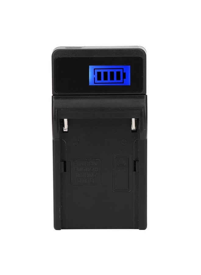 LCD Display Screen USB Camera Battery Single Charger for NP-F780 F980 F990