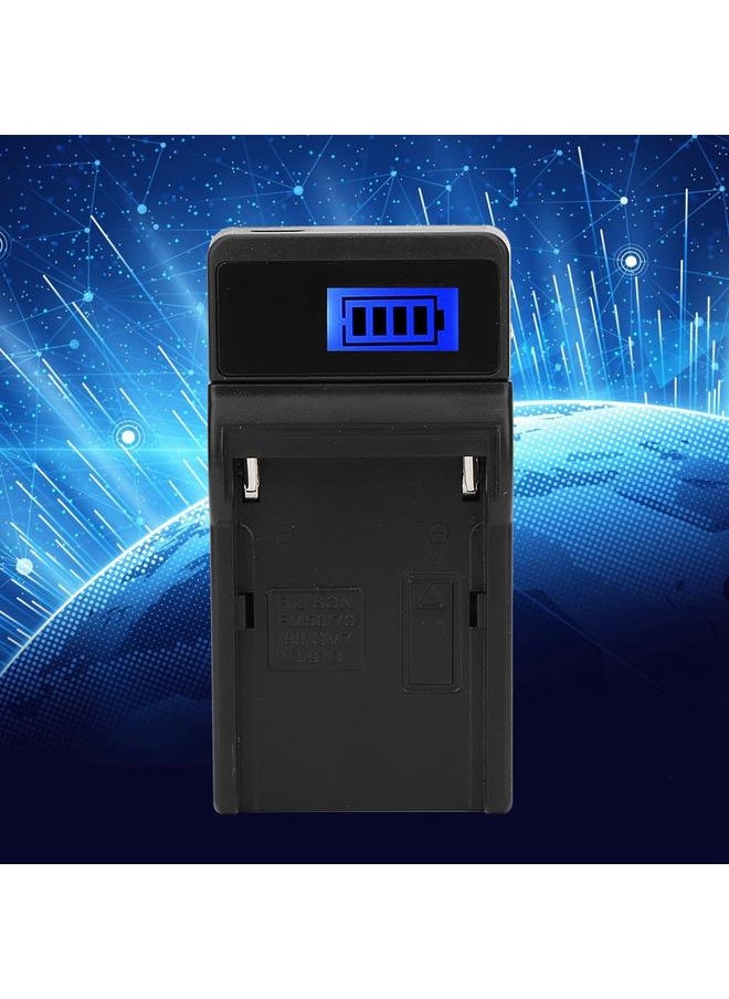 LCD Display Screen USB Camera Battery Single Charger for NP-F780 F980 F990