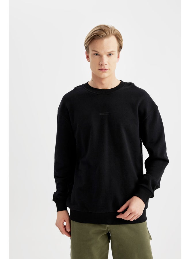 DeFacto Man Boxy Fit Crew Neck Long Sleeve Knitted Sweat Shirt  - Image 1