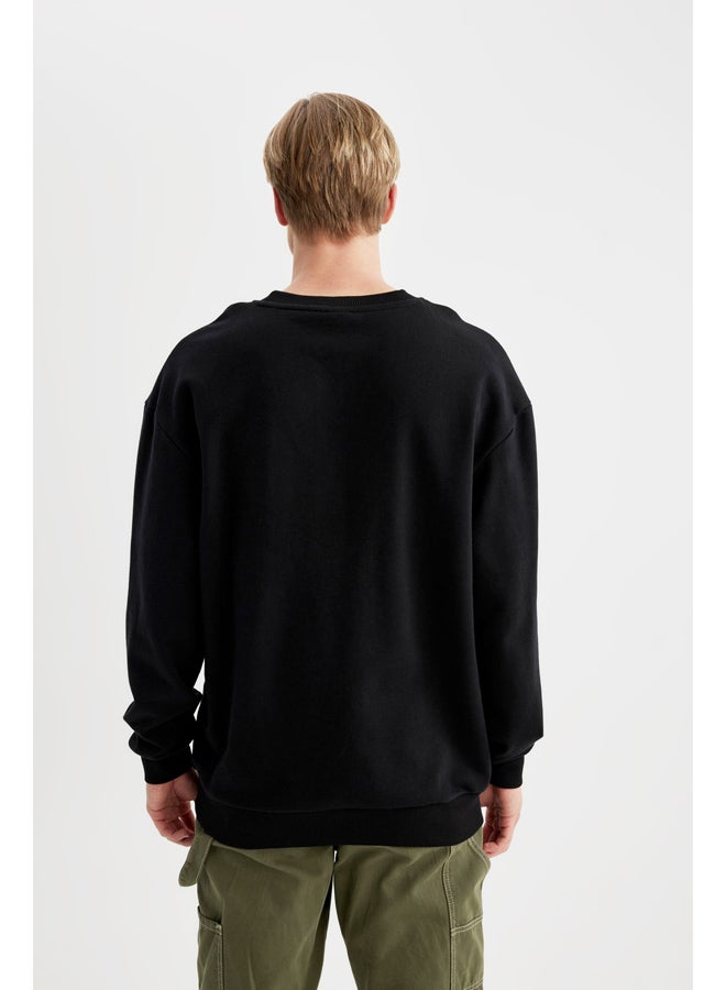 DeFacto Man Boxy Fit Crew Neck Long Sleeve Knitted Sweat Shirt  - Image 3