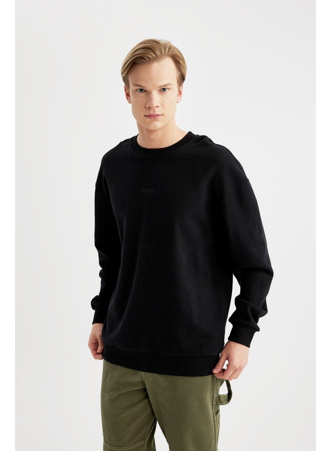 DeFacto Man Boxy Fit Crew Neck Long Sleeve Knitted Sweat Shirt  - Image 4