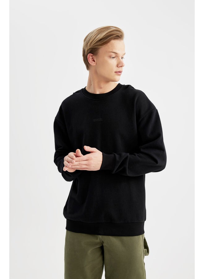 DeFacto Man Boxy Fit Crew Neck Long Sleeve Knitted Sweat Shirt  - Image 2