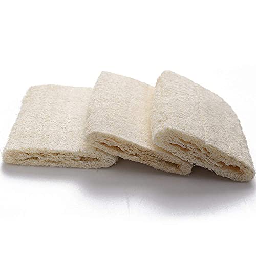 FABSKIN Natural Loofah Scrubber for bathing For Men and Women - Pack Of 2 - Indian Natural Organic Bath Scrubber For Body - Image 3