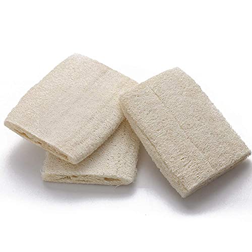 FABSKIN Natural Loofah Scrubber for bathing For Men and Women - Pack Of 2 - Indian Natural Organic Bath Scrubber For Body - Image 5