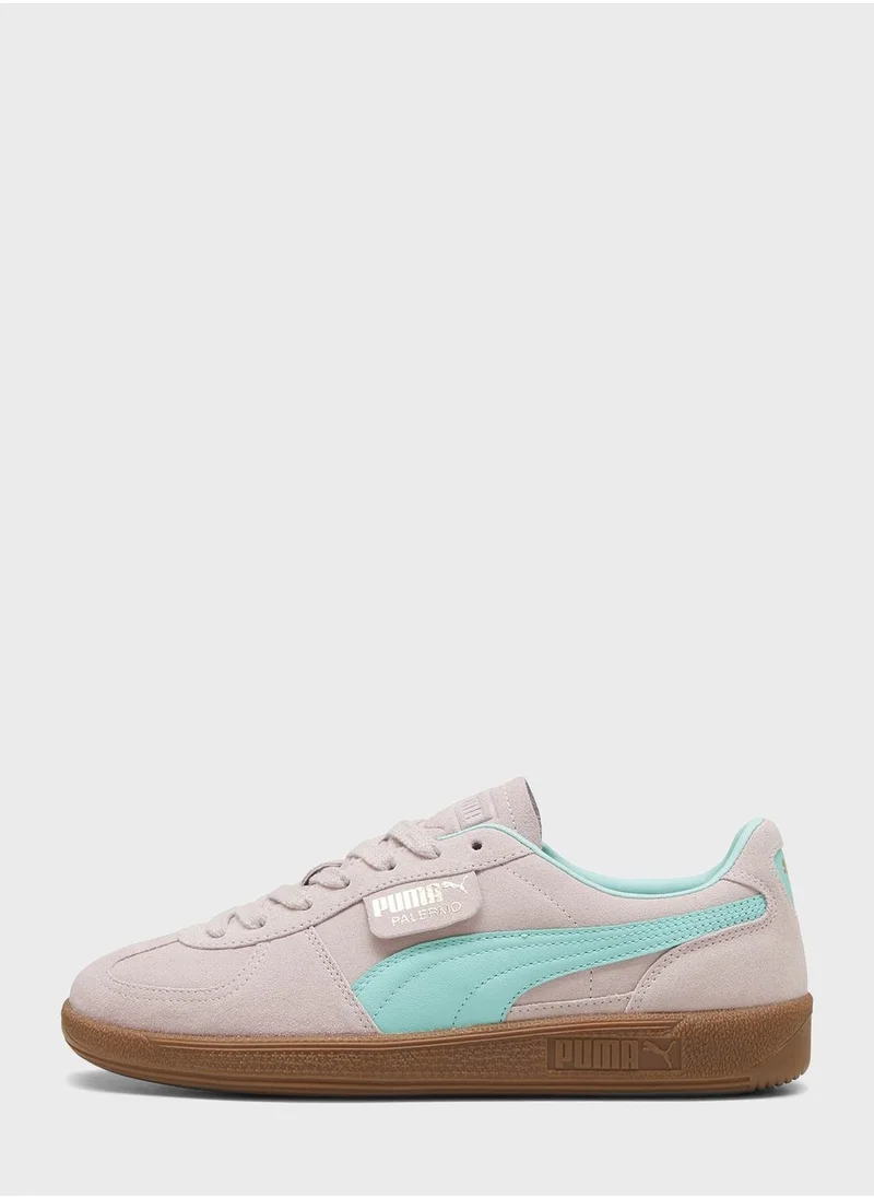 PUMA Palermo