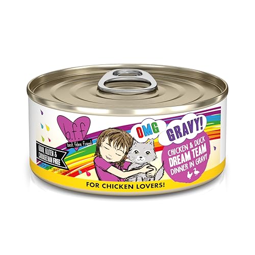 Weruva B.F.F. OMG - Best Feline Friend Oh My Gravy!, Chicken & Duck Dream Team with Chicken & Duck in Gravy, 5.5oz Can (Pack of 8) - Image 1