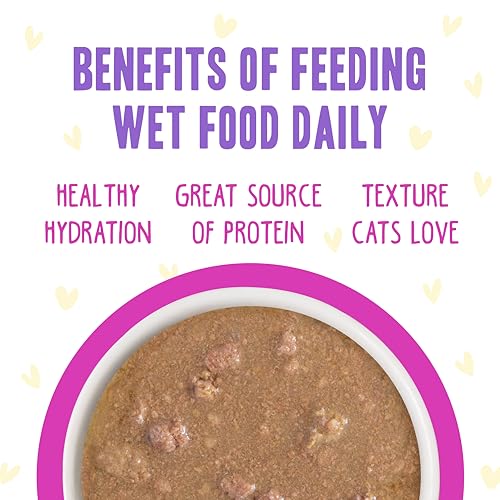 Weruva B.F.F. OMG - Best Feline Friend Oh My Gravy!, Chicken & Duck Dream Team with Chicken & Duck in Gravy, 5.5oz Can (Pack of 8) - Image 5