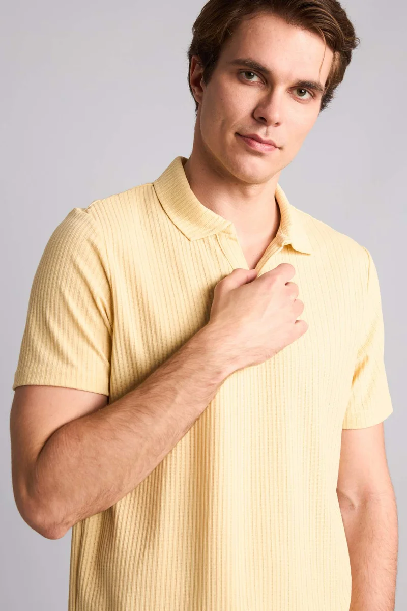 Defacto Regular Fit Short Sleeve Polo T-Shirt