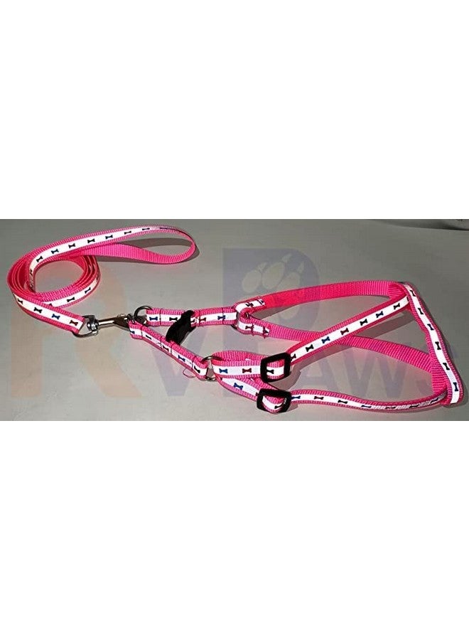 مجموعة حزام ومقود من النايلون المطبوع والمنعكس مقاس 15 مم قابل للتعديل للكلاب الصغيرة والجراء (وردي) - Image 4