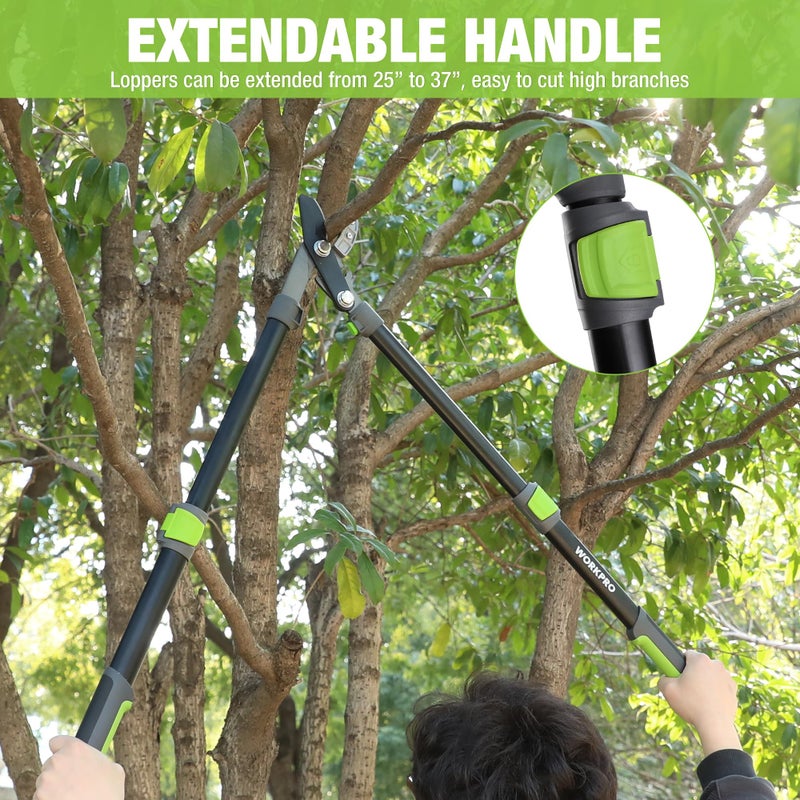 WORKPRO Extendable Anvil Lopper for Gardening, 25-37" Branch Cutter with 1.6" Cutting Capacity, Heavy-Duty Pruning Shear Featuring Gear System for Tree Trimming, Handheld Garden Shear with Sharp Blade - Image 5