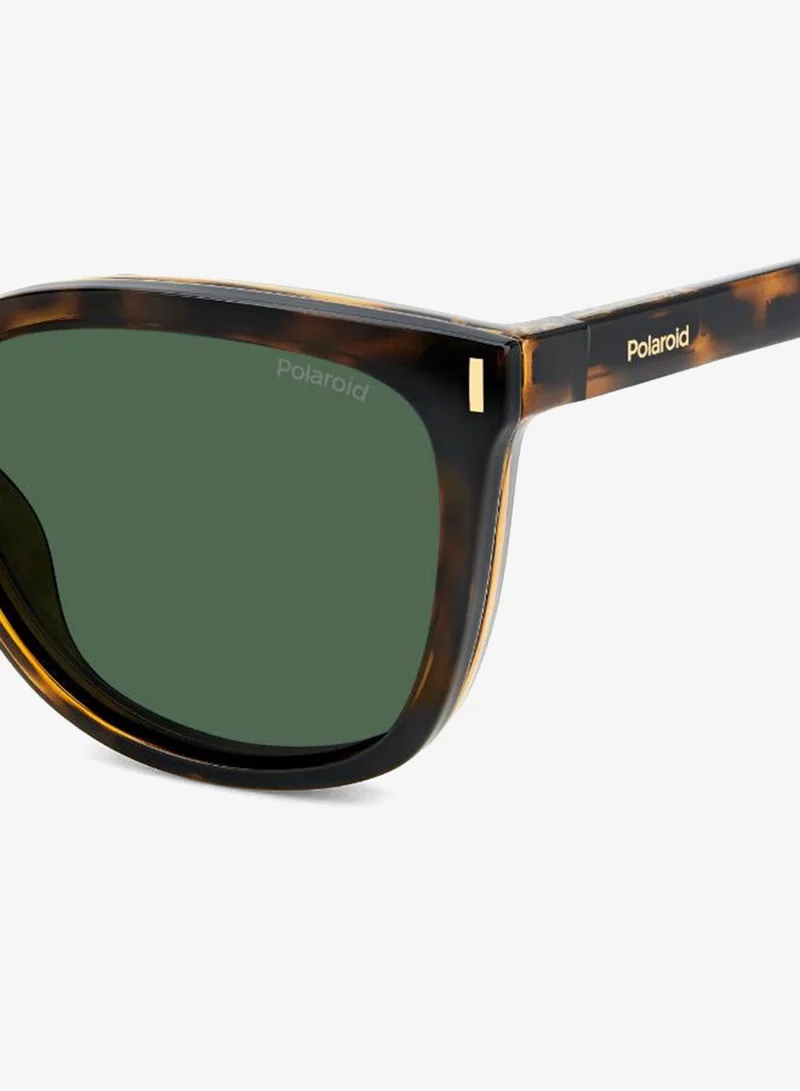 Polaroid  Wayfarers Sunglasses for Women | Best Price UAE