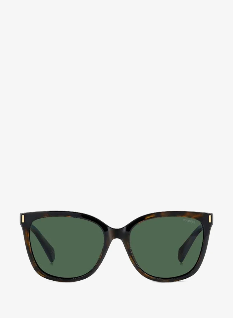 Wayfarers Sunglasses