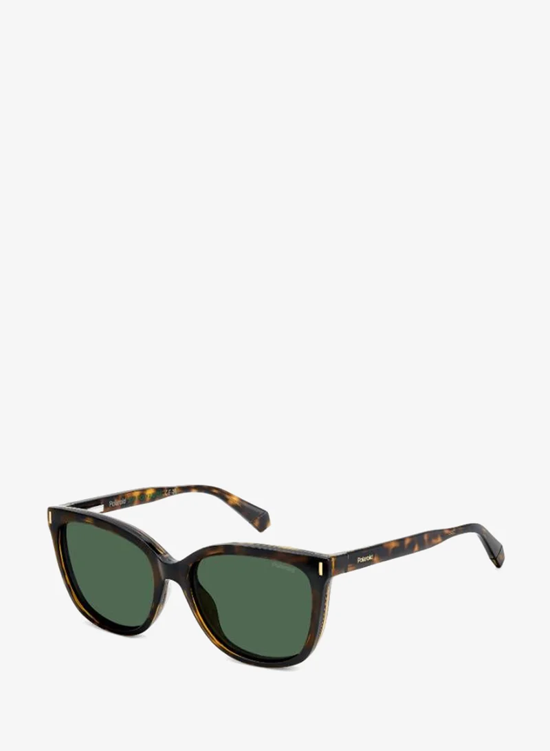 Polaroid  Wayfarers Sunglasses for Women | Best Price UAE