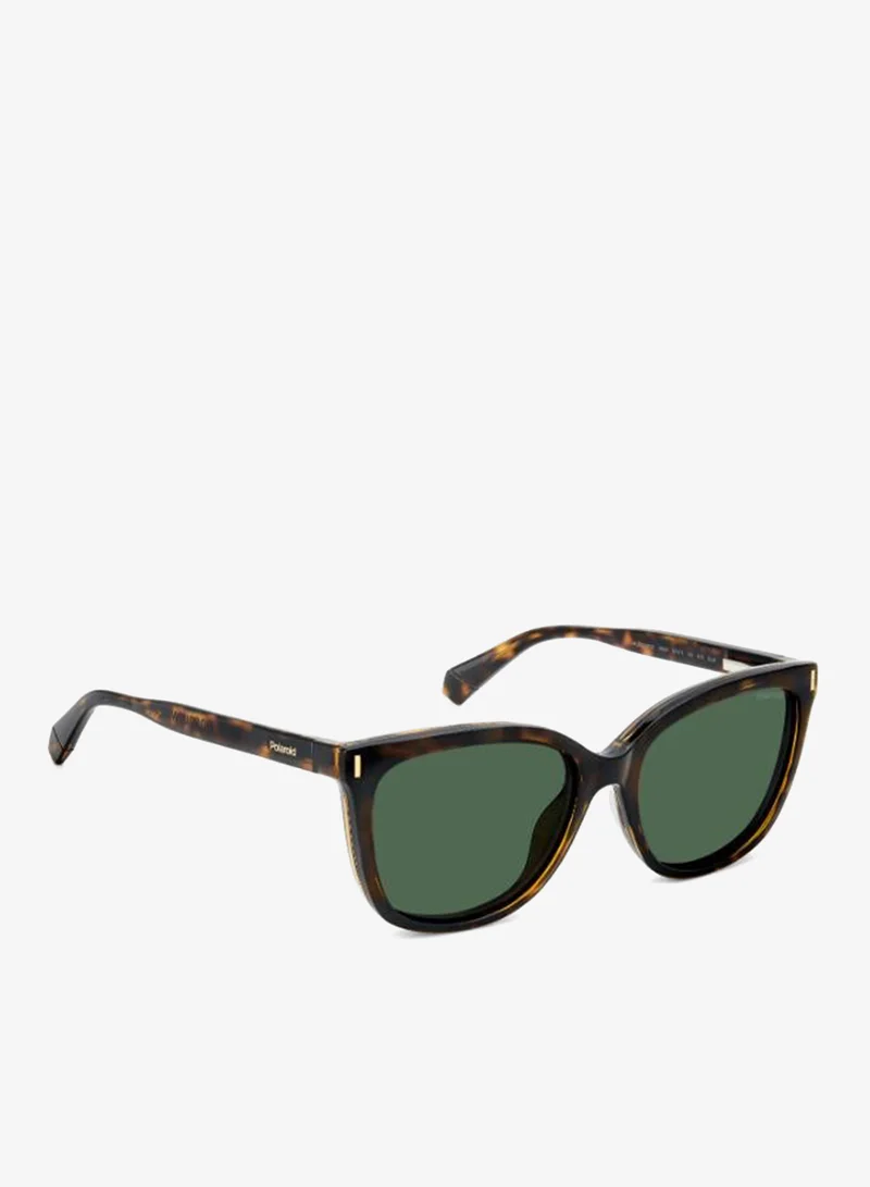 Polaroid  Wayfarers Sunglasses for Women | Best Price UAE
