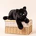 PEACH CAT Black Cat Plush Cute Kitten Stuffed Animal Soft Plushies Toy Pillow Gifts for Kids 177 - Image 4