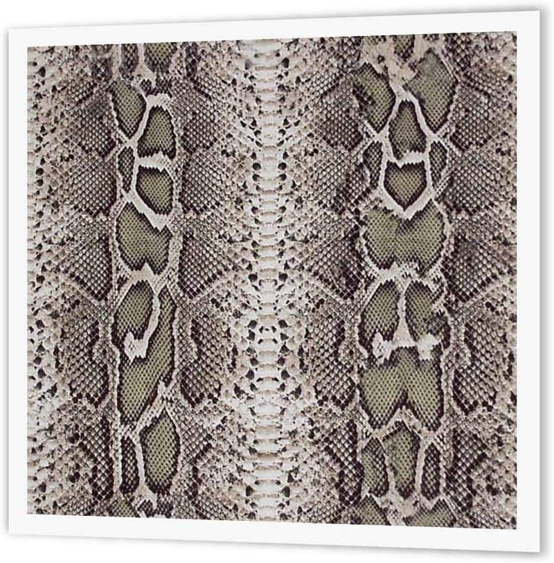 3dRose Grey Snakeskin Animal Print Iron-On Heat Transfer, 10x10 Inches for Light Fabrics