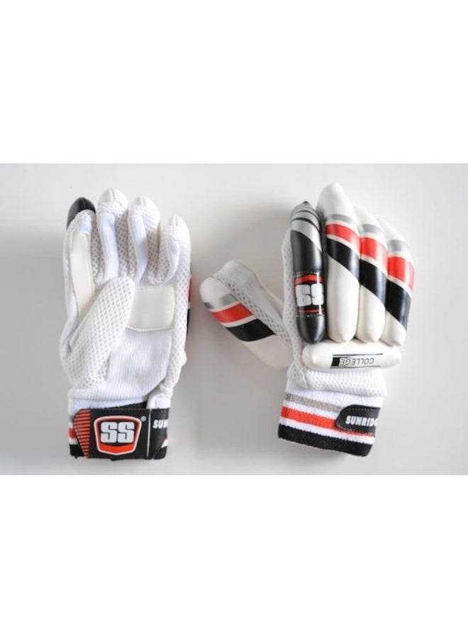 serene Cricket Batting Gloves Ss College
