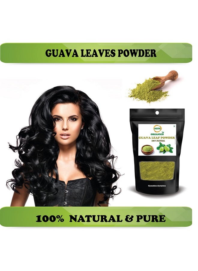 Koyya Ilai 25 Gms (3) | Guava Leaves Powder -25 G Pack Of 3 - pzsku/Z0972463C35479337D658Z/45/_/1728309084/07aa8494-f704-4cd3-8b67-3cbe160cf3ff