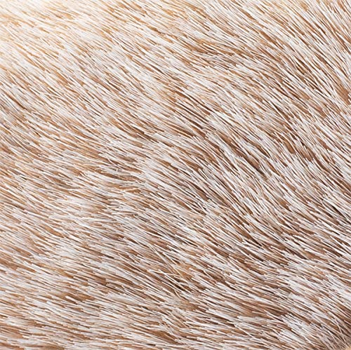 DEMDACO Huddled Small Hedgehog Wispy Chestnut Children's Plush Stuffed Animal - Image 5