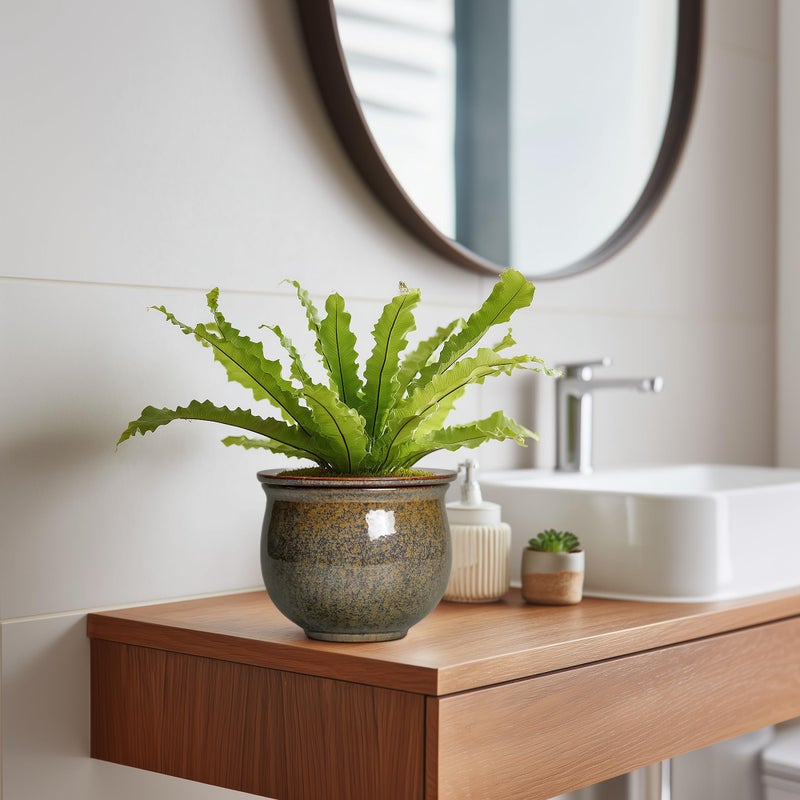 Teagas Self Watering Planters for Indoor Plants, 6 Inch Ceramic African Violet Pots with Absorbent Inner Pot, Ceramic Plant Pot, Round Flower Pots, Bathroom Decor, Housewarming Gifts, Yellowish Brown - Image 5